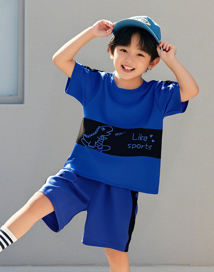 Boys Printed Short Sleeves T-shirt With Shorts