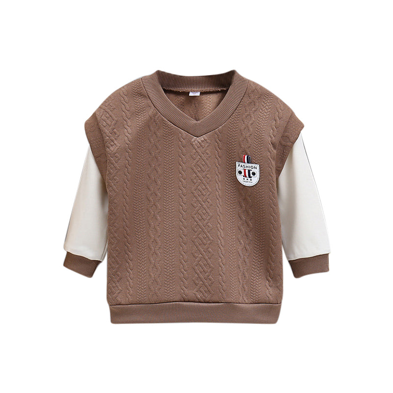 Boys Brown Colourblocked Sweatshirt