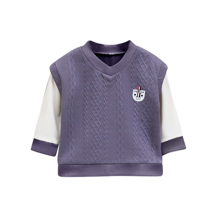 Boys Purple V-Neck Regular Sweatshirt