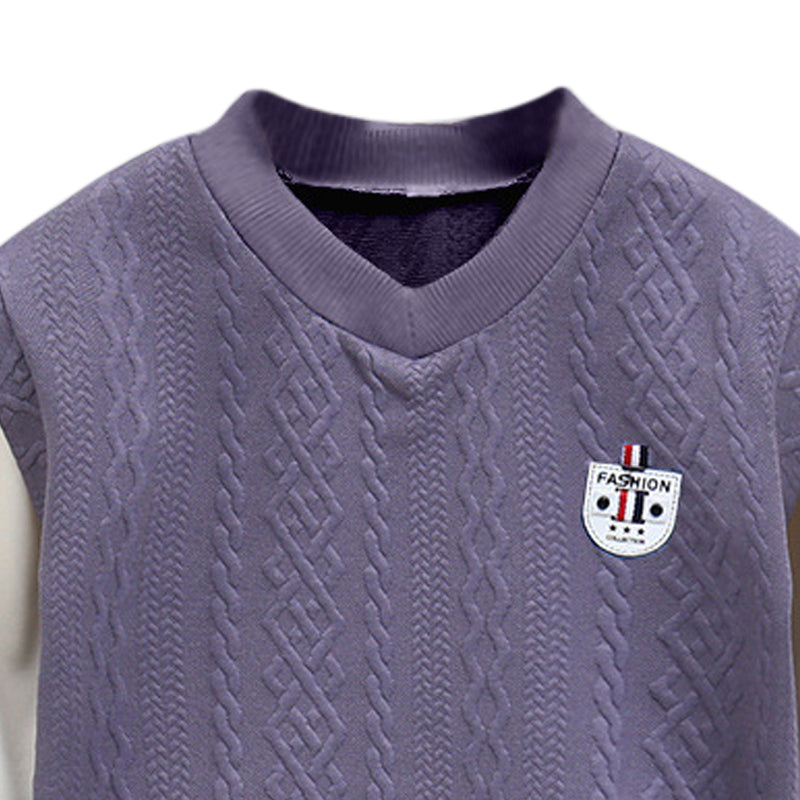 Boys Purple V-Neck Regular Sweatshirt