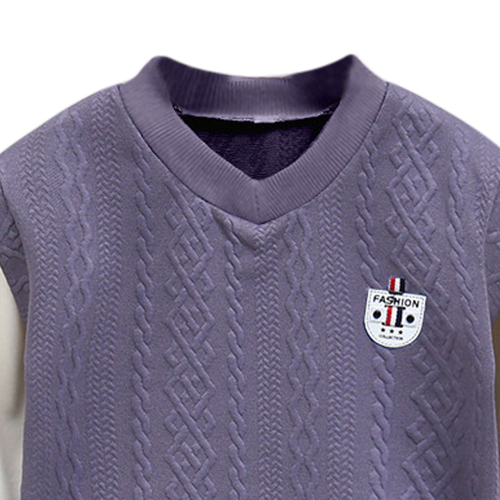 Boys Purple V-Neck Regular Sweatshirt