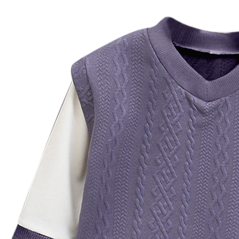 Boys Purple V-Neck Regular Sweatshirt