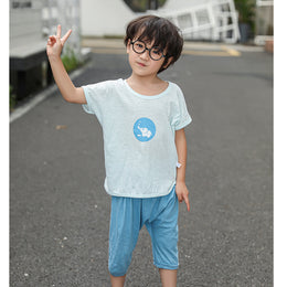 Boys Blue Printed Cotton T-shirt with Shorts