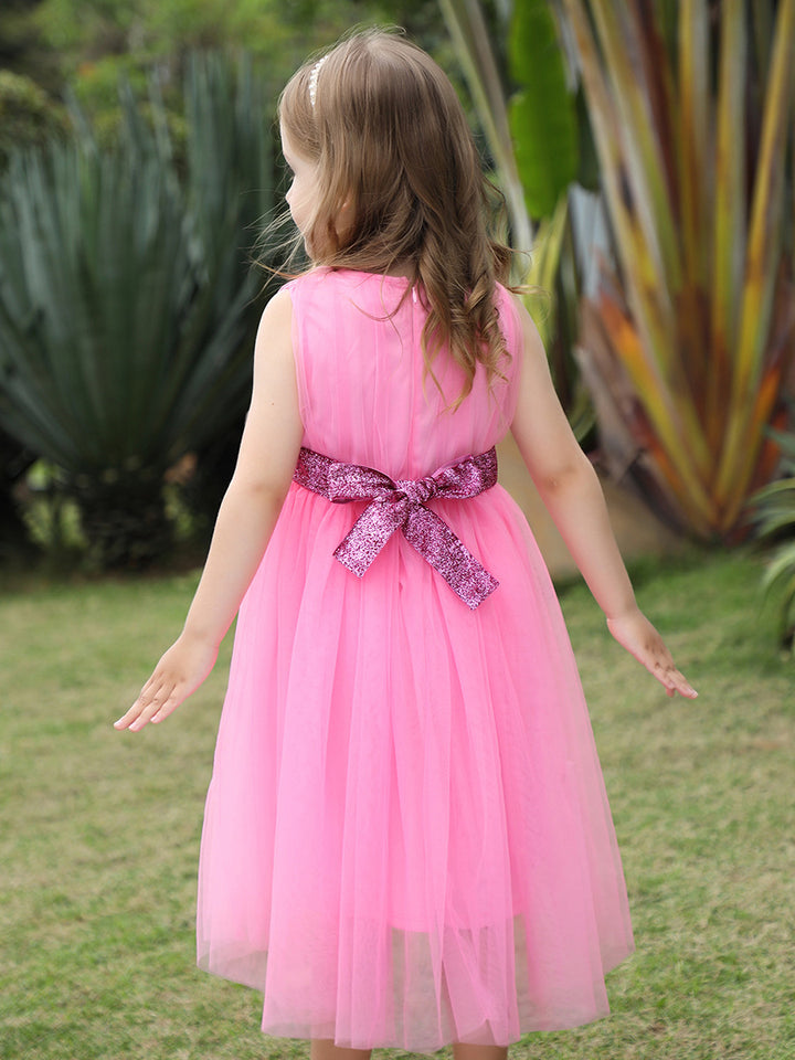 Sleeveless Applique Fit & Flare Dress
