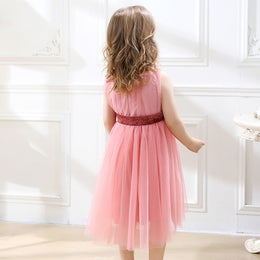 Applique Fit & Flare Dress