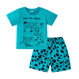 Boys Blue Graphic Printed Top with Shorts