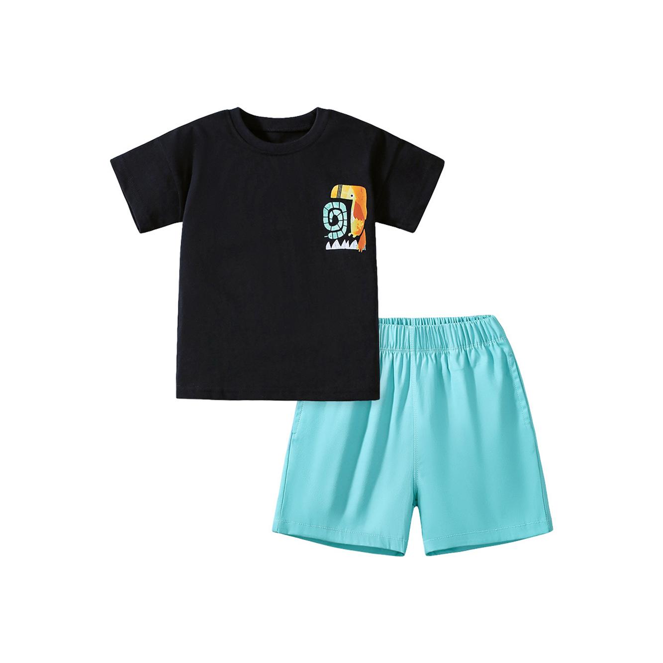 Boys Printed T-shirt With Shorts