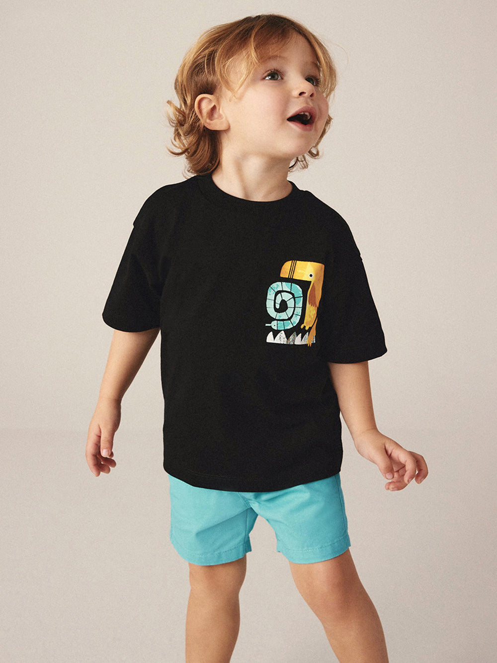 Boys Printed T-shirt With Shorts