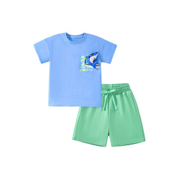 Boys Printed Short Sleeves T-shirt With Shorts