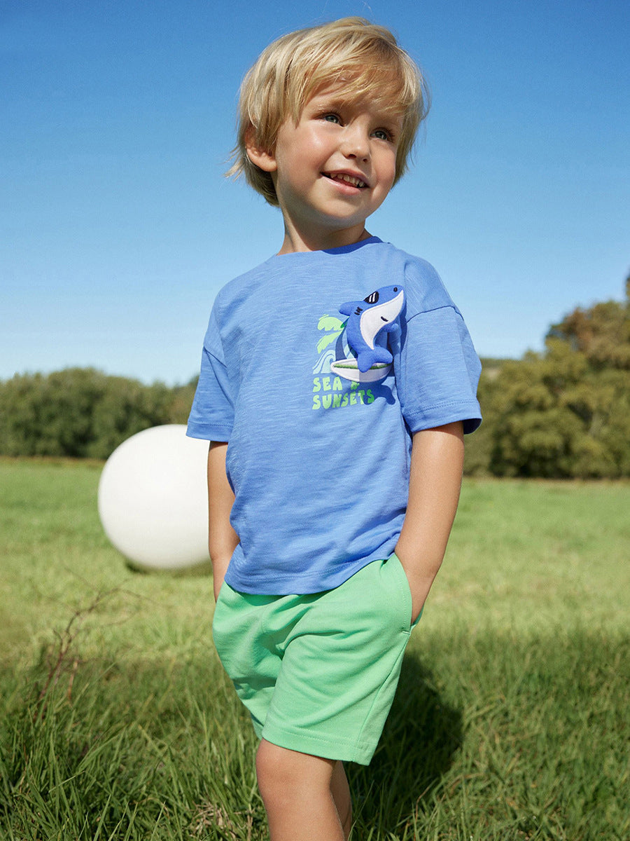Boys Printed Short Sleeves T-shirt With Shorts