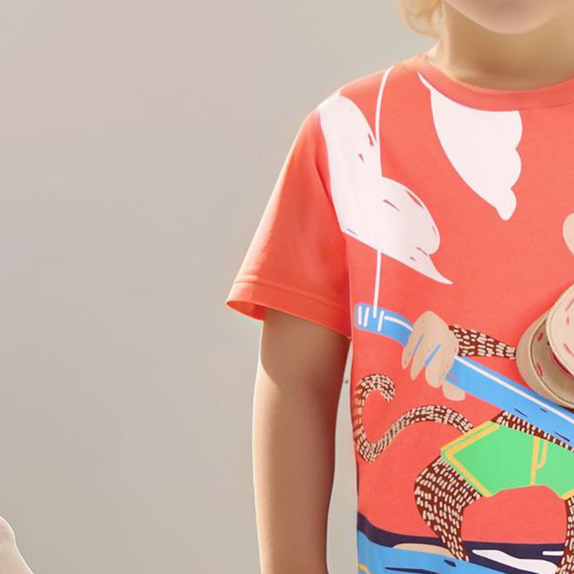 Boys Printed Pure Cotton T-Shirt With Shorts