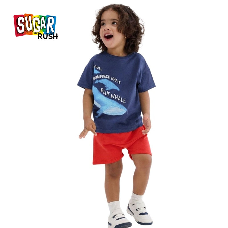 Blue Boys Printed Pure Cotton T-shirt with Shorts