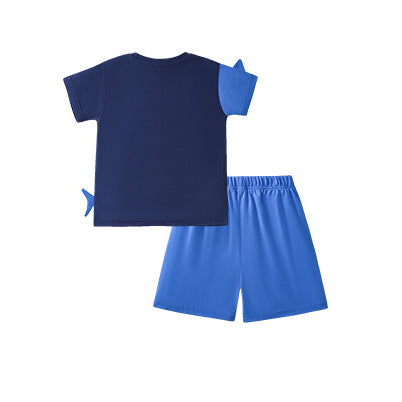 Boys Embroidered Short Sleeves T-shirt With Shorts