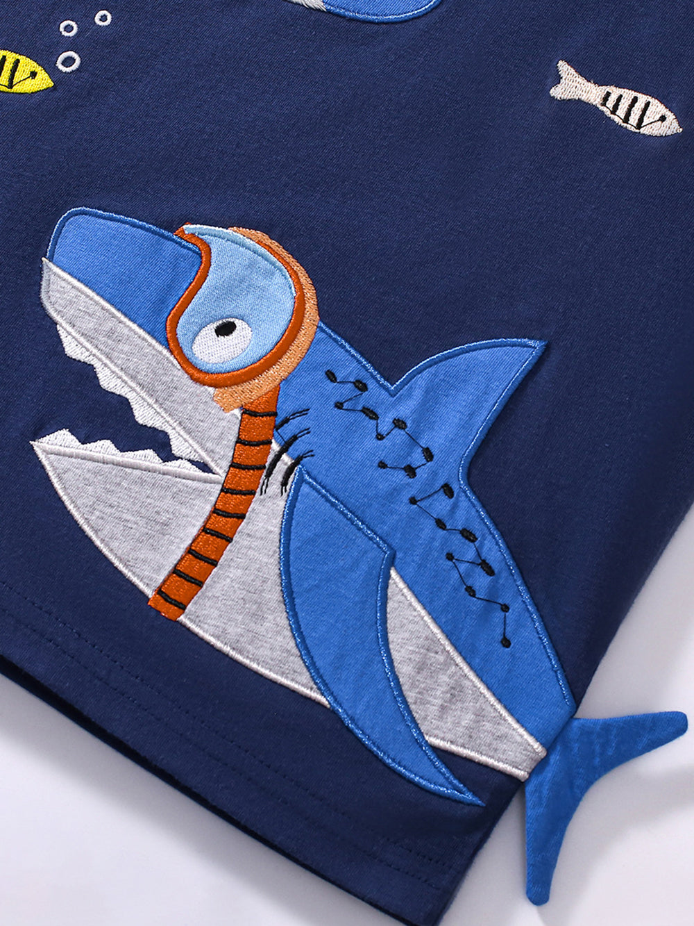 Boys Embroidered Short Sleeves T-shirt With Shorts
