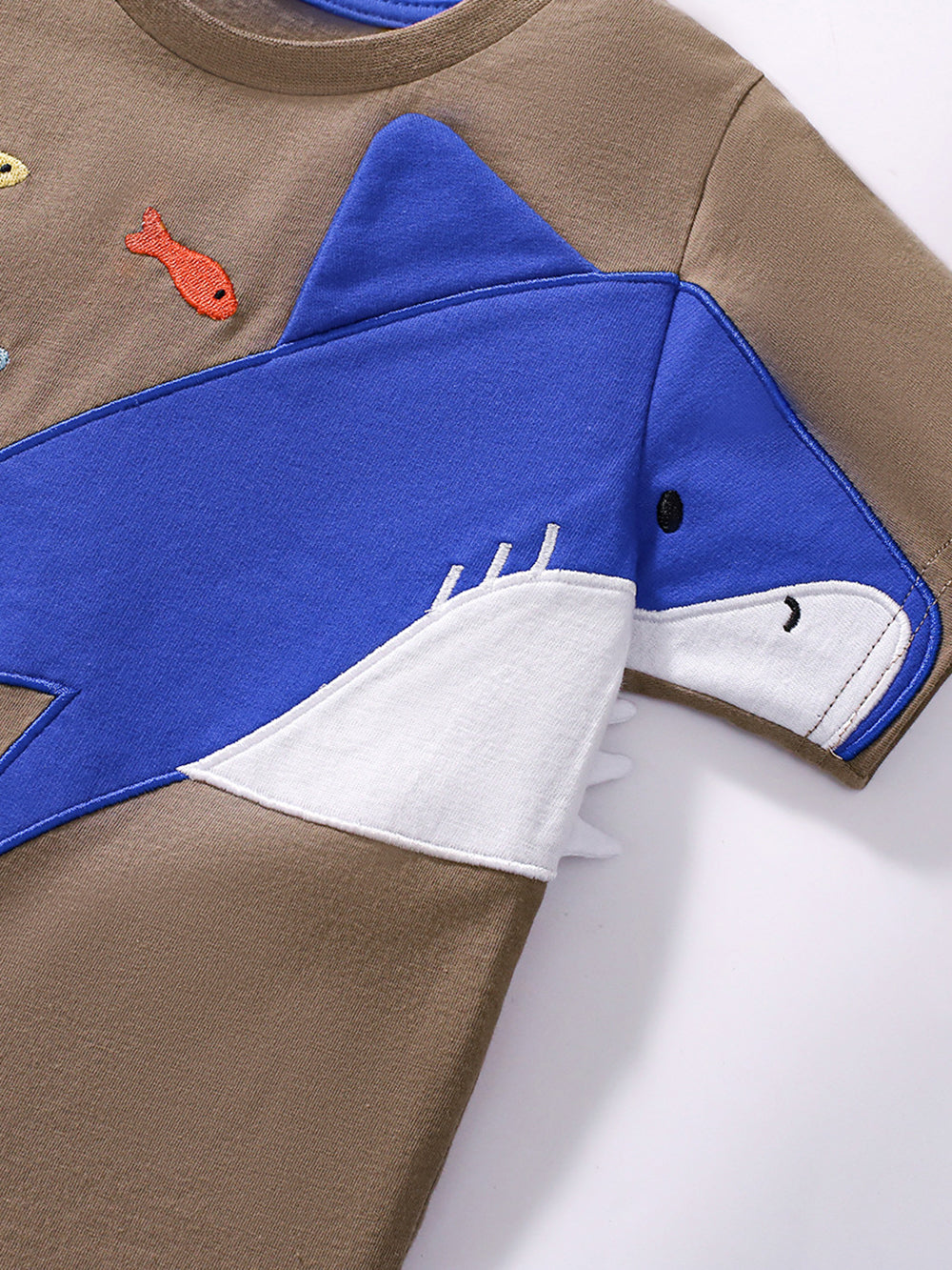 Boys Embroidered Short Sleeves T-shirt With Shorts