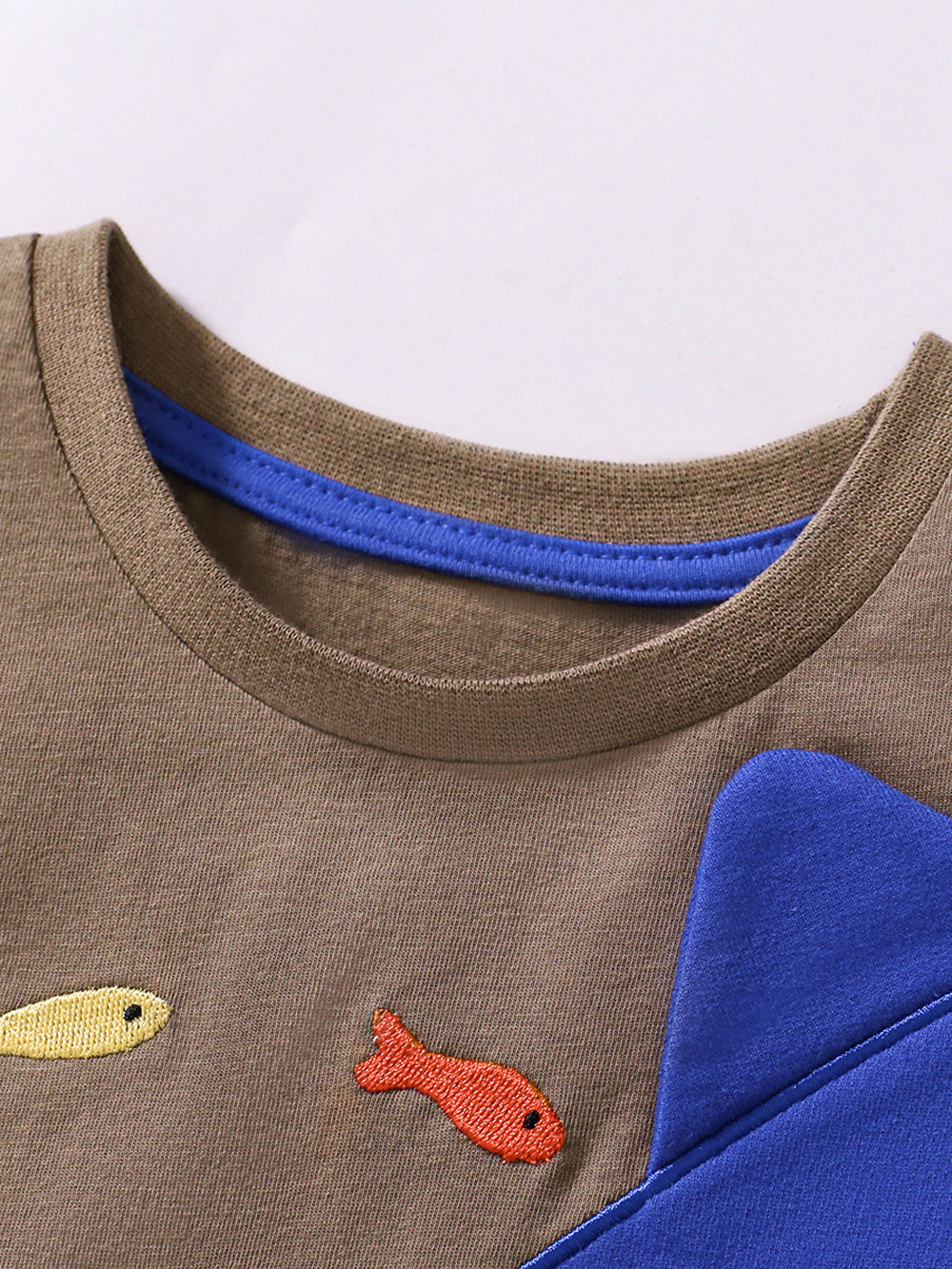 Boys Embroidered Short Sleeves T-shirt With Shorts