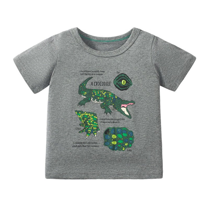 Boys Graphic Printed Cotton T-Shirt