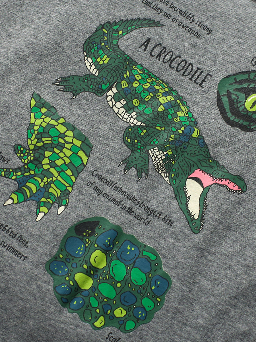 Boys Graphic Printed Cotton T-Shirt
