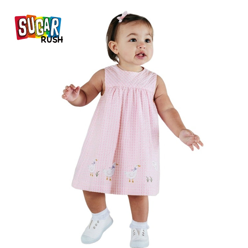 Girls Pink Checked A-Line Dress