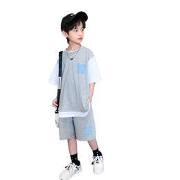 Boys Printed T-shirt With Shorts