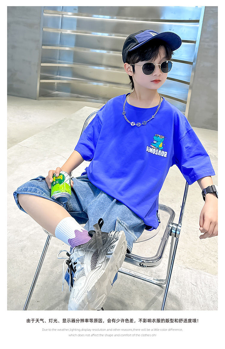 Boys Printed Round Neck Short Sleeves T-shirt With Shorts