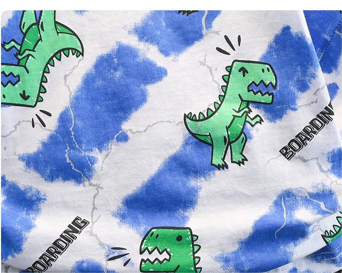 Boys Printed T-shirt with Shorts