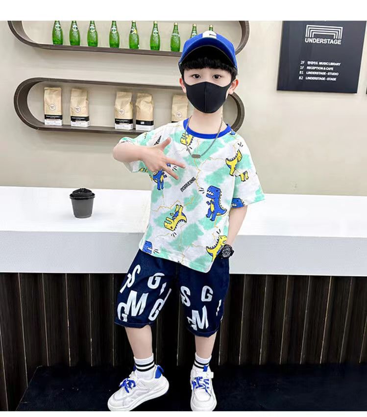 Boys Printed T-shirt with Shorts