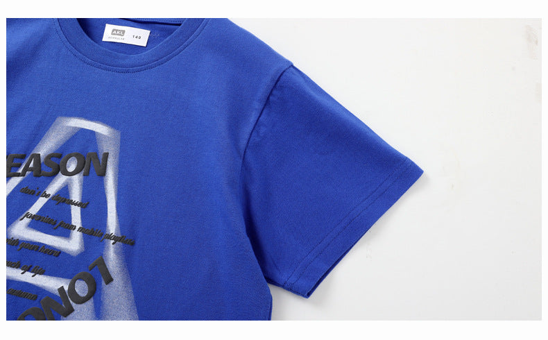 Boys Printed Round Neck Applique Regular Fit T-shirt