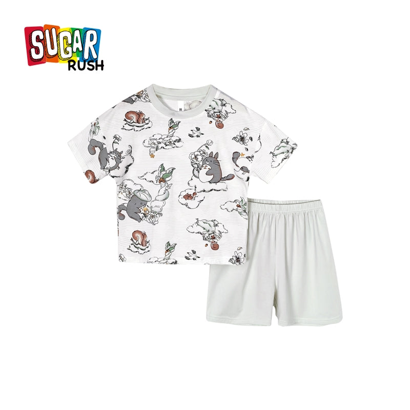Boys Printed Short Sleeves T-shirt With Shorts