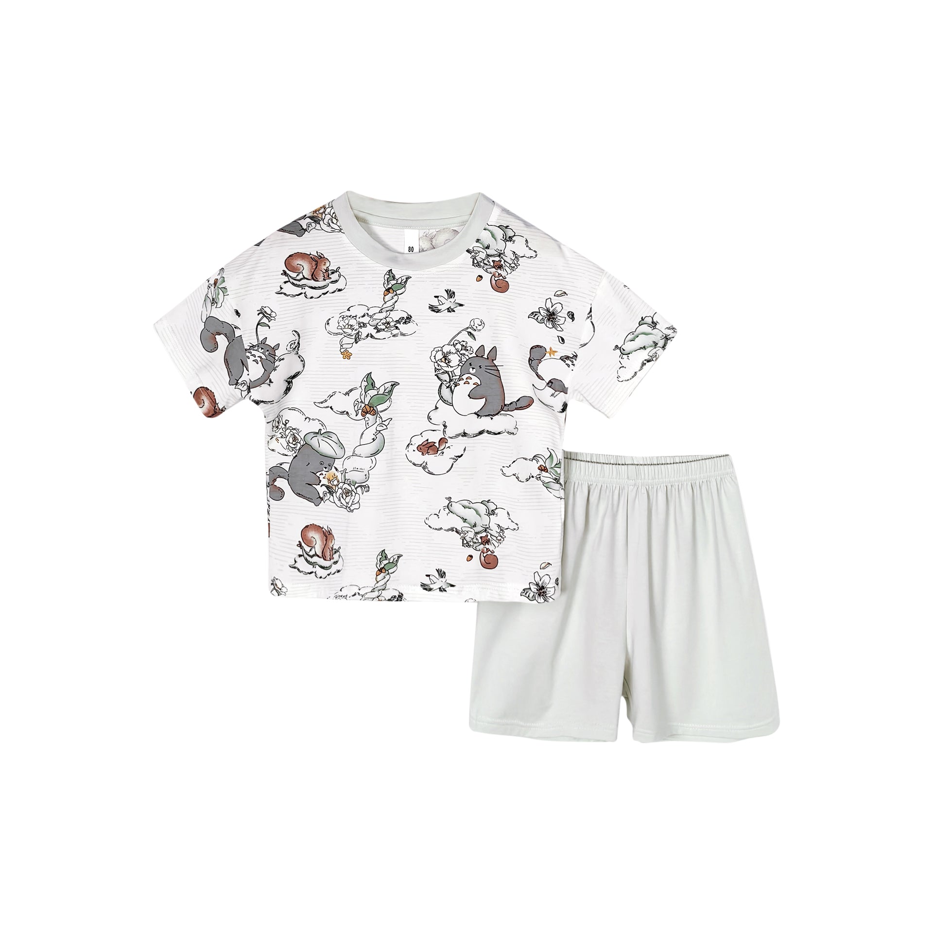 Boys Printed Short Sleeves T-shirt With Shorts