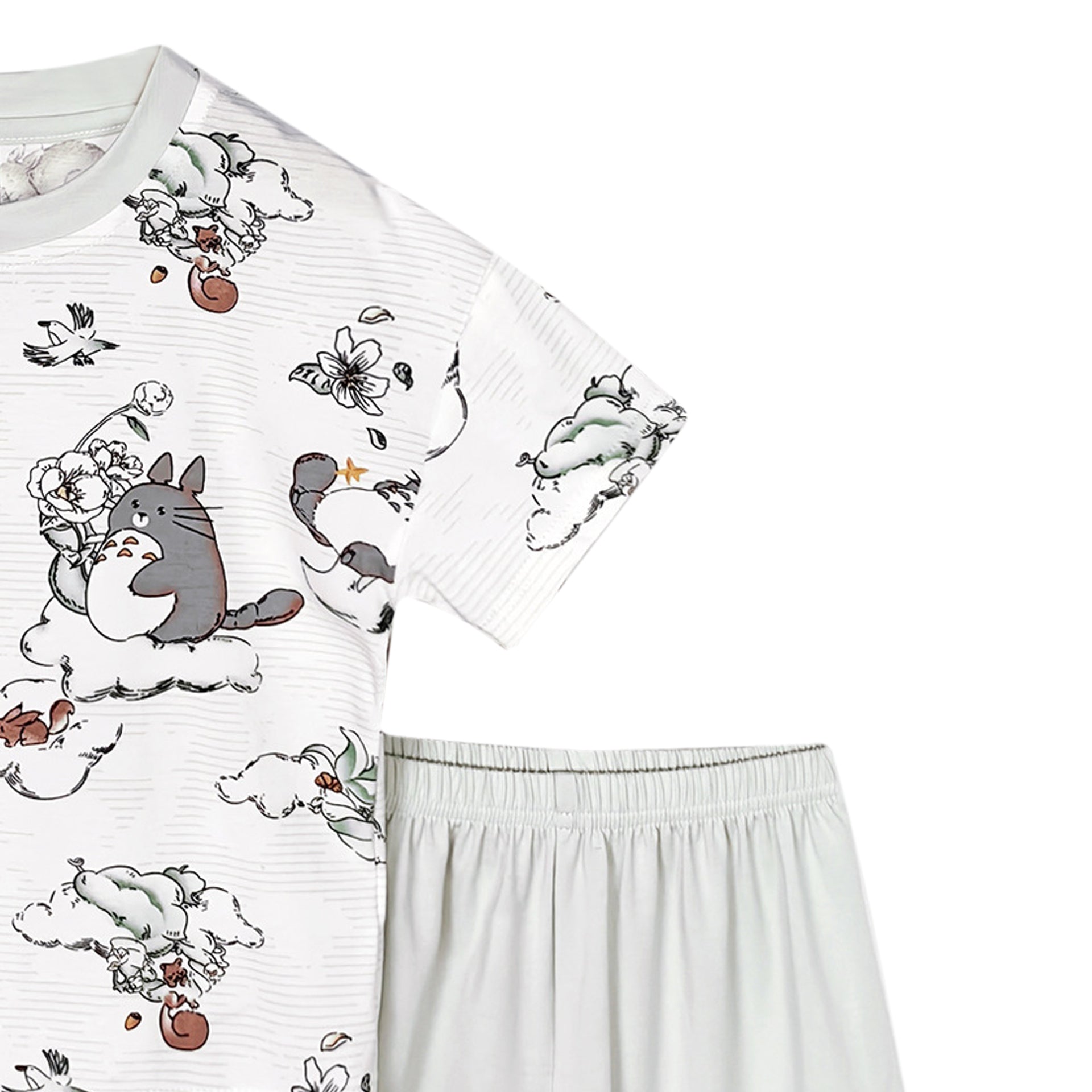 Boys Printed Short Sleeves T-shirt With Shorts