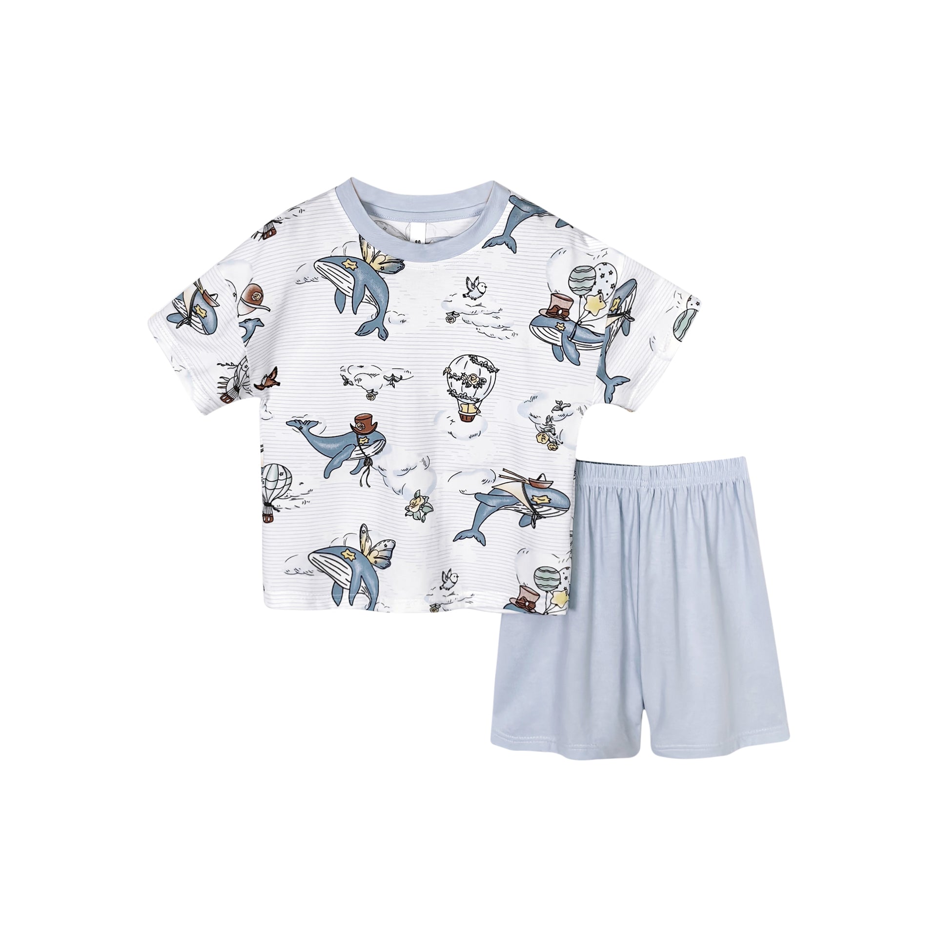 Boys Printed Round Neck T-shirt With Shorts