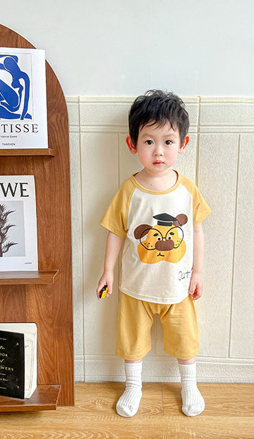 Boys Pure Cotton Printed T-shirt With Shorts