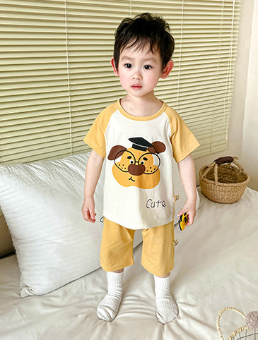 Boys Pure Cotton Printed T-shirt With Shorts