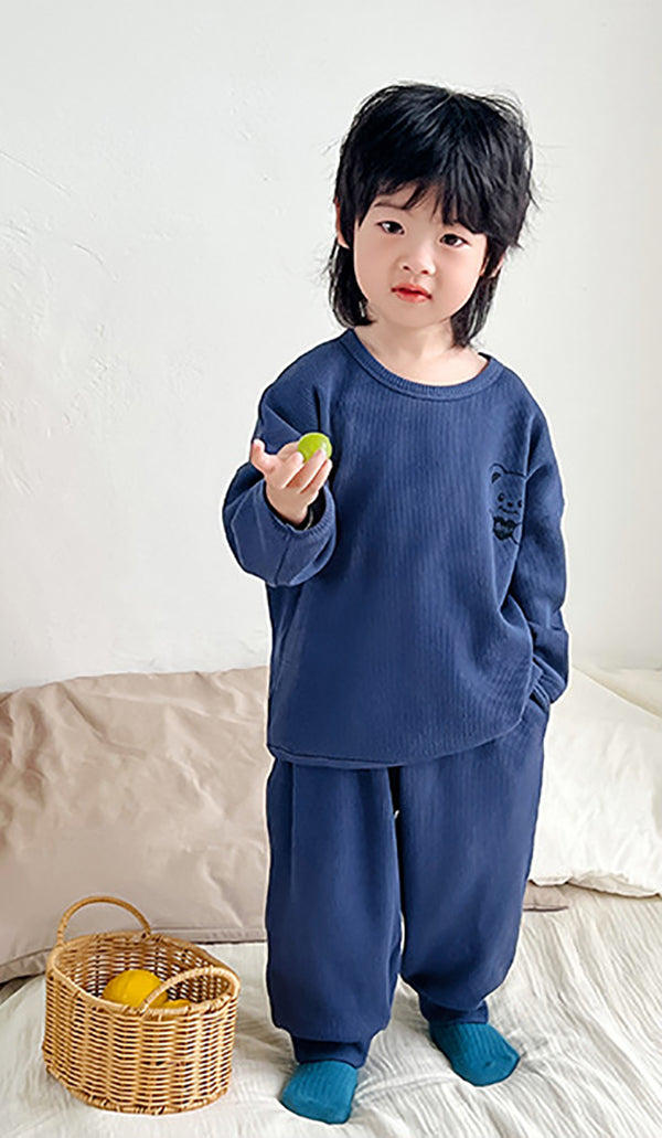 Boys Printed T-shirt with Joggers