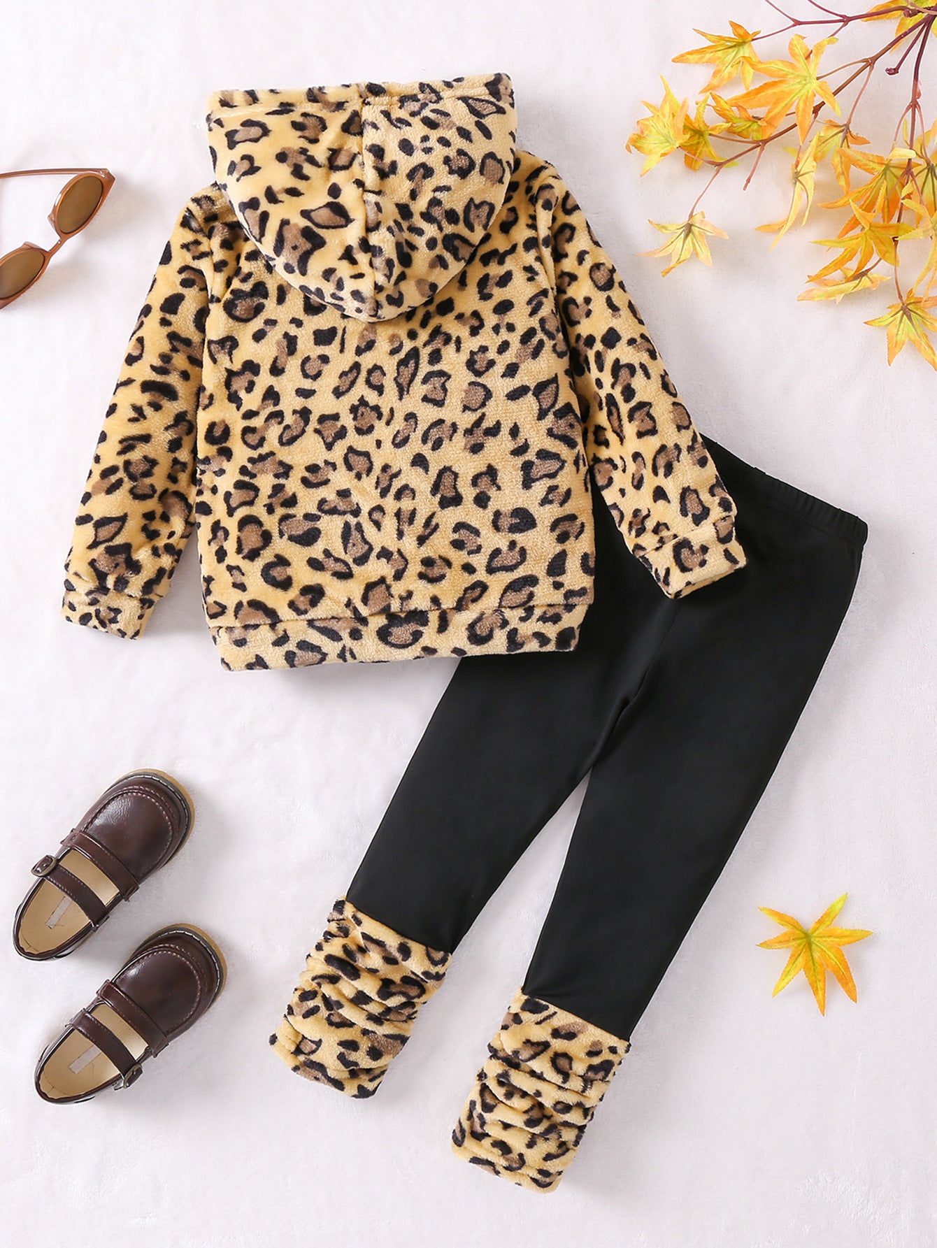 Boys Printed Hooded Sweatshirt With Leggings