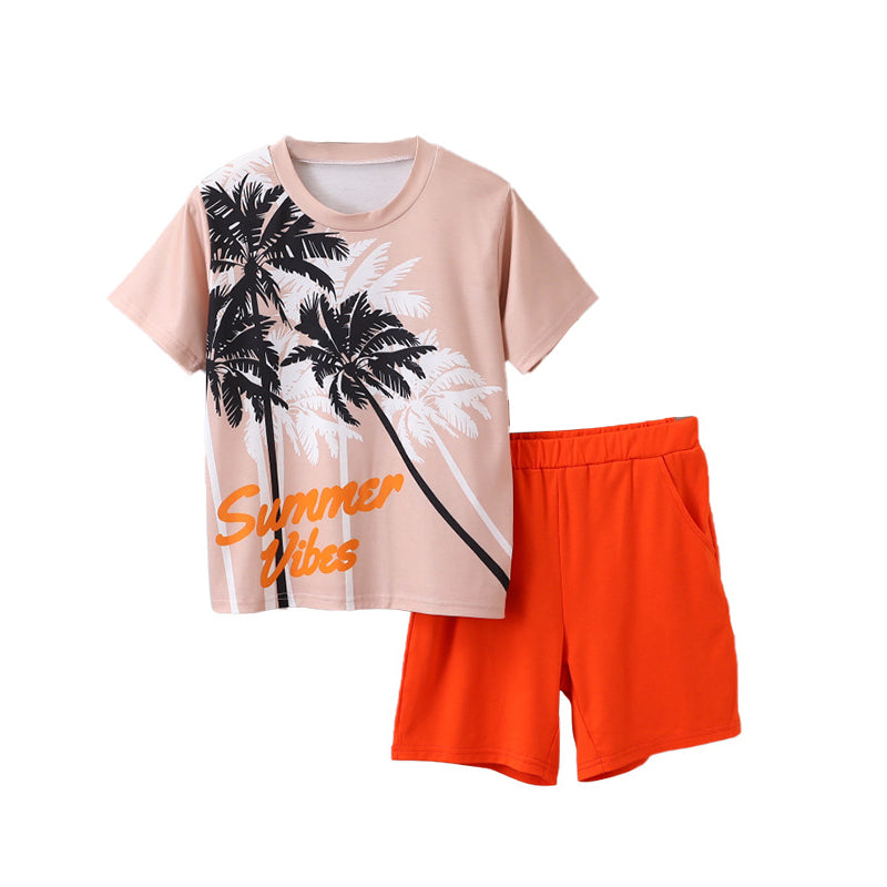 Boys Printed T-shirt With Short