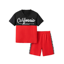 Boys Printed Round Neck Short Sleeves T-shirt With Shorts