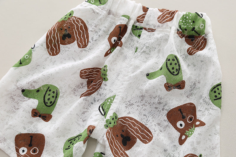 Boys Printed T-shirt with Shorts