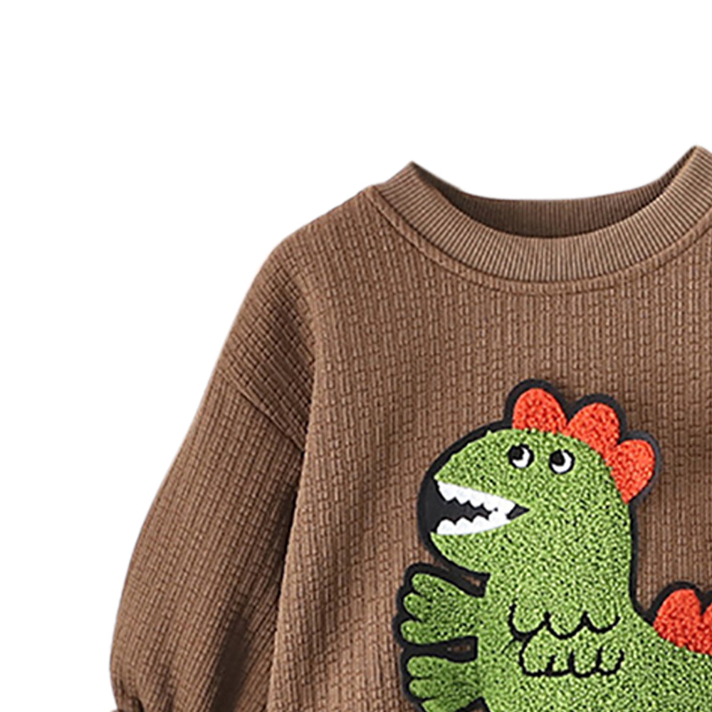 Boys Sweatshirt with Trouser