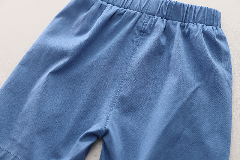 Boys Printed Pure Cotton Shirt with Shorts