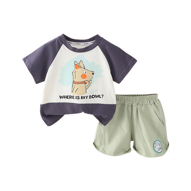 Boys Ninja Hattori Printed T-shirt With Short