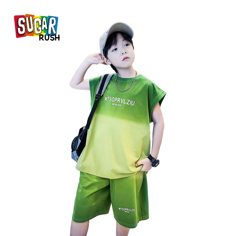 Boys Printed T-shirt with Shorts