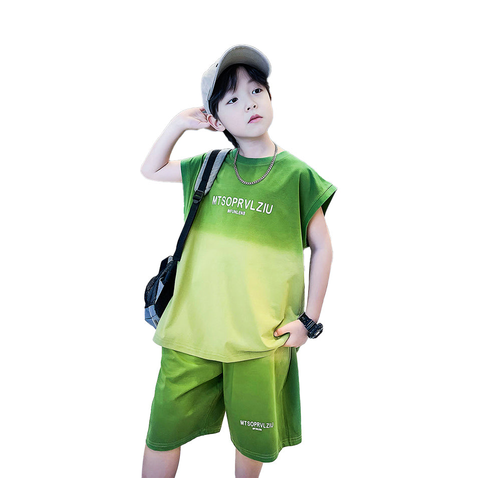 Boys Printed T-shirt with Shorts