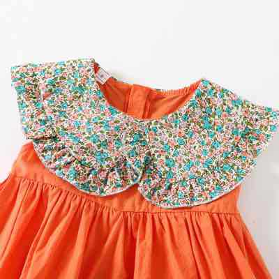 Girls Floral Print Fit & Flare Dress