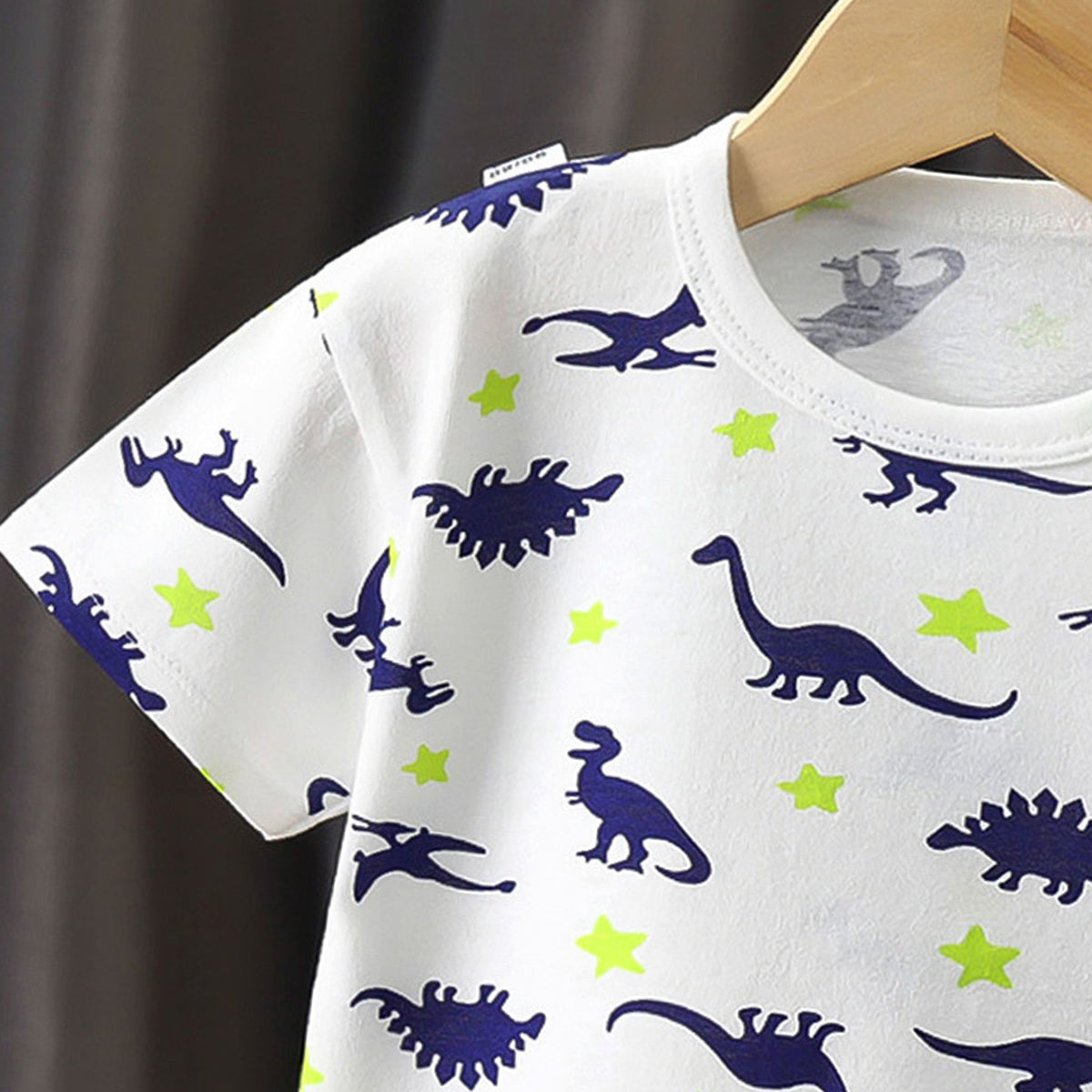 Boys Graphic Printed Round Neck Cotton T-shirt