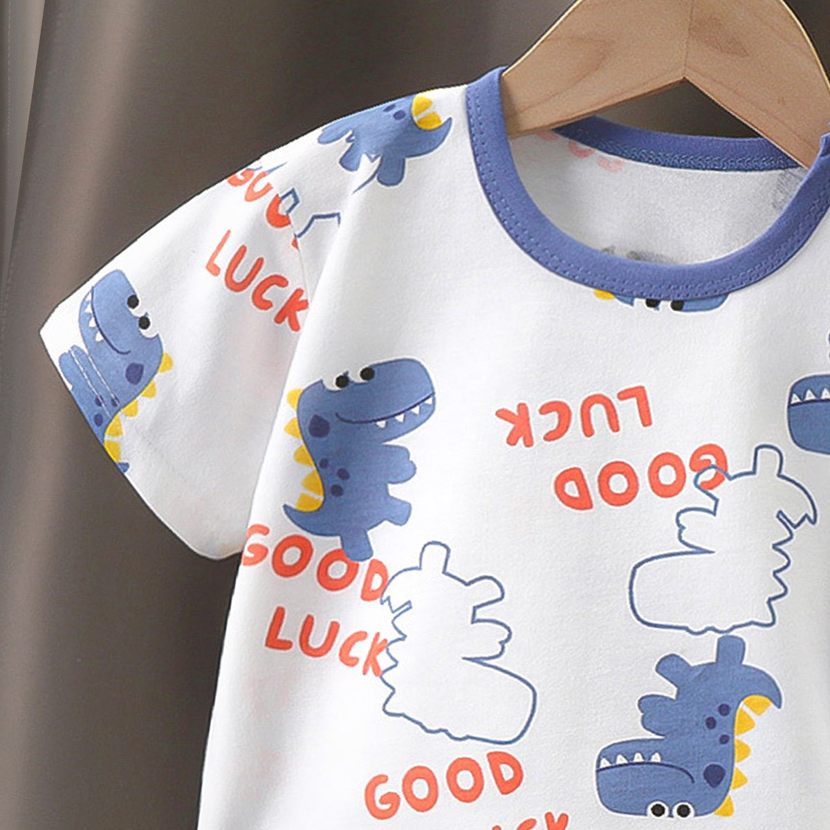 Boys Printed Pure Cotton T-Shirt With Shorts