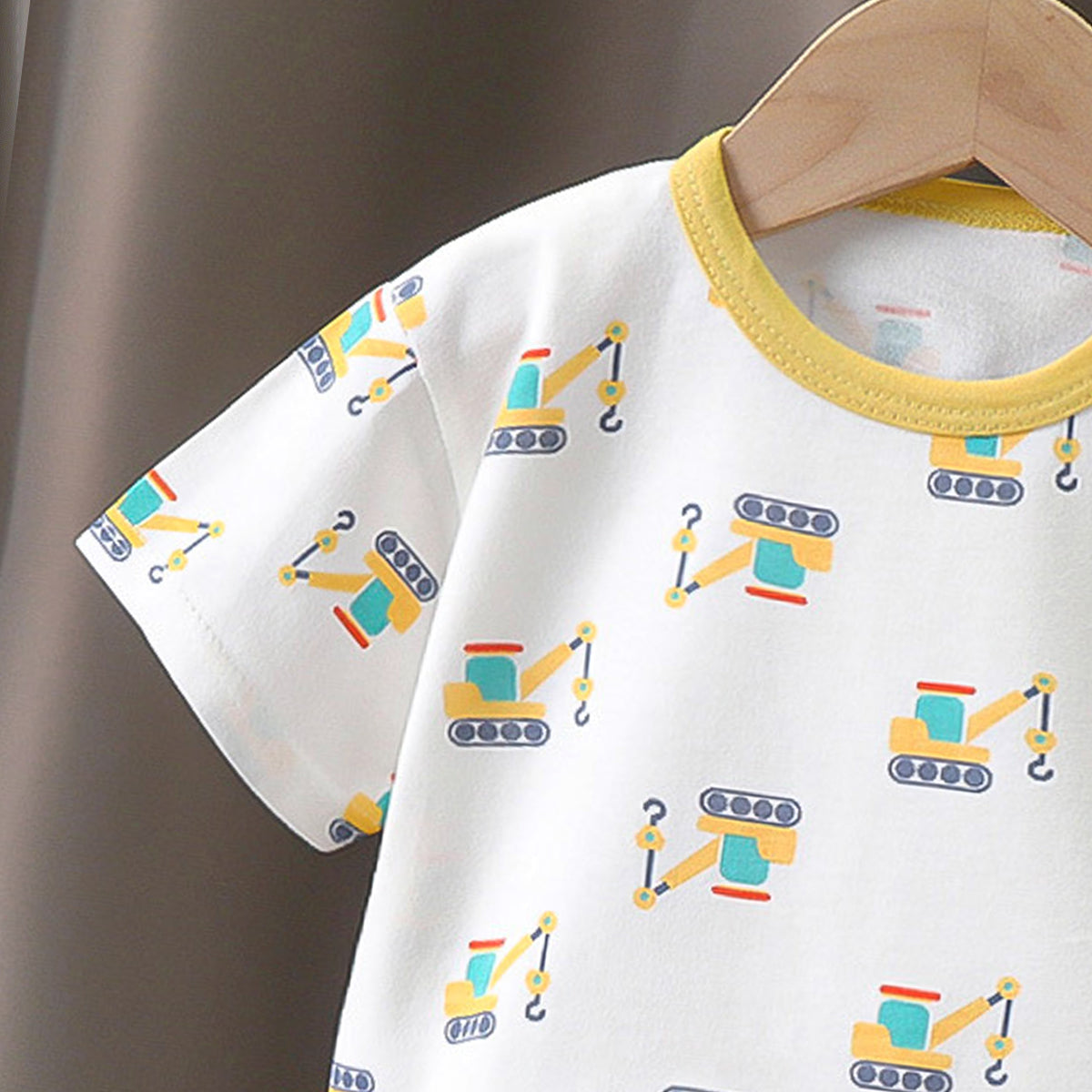 Boys Printed Short Sleeves Pure Cotton T-shirt With Shorts