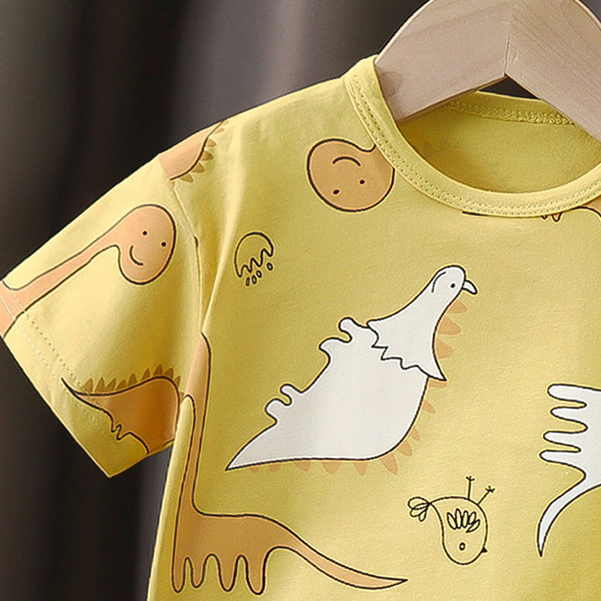 Boys Printed Short Sleeves Pure Cotton T-shirt With Shorts