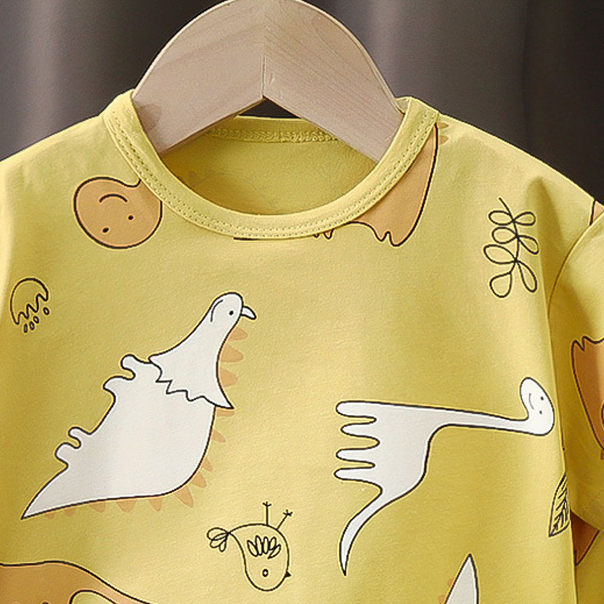 Boys Printed Short Sleeves Pure Cotton T-shirt With Shorts
